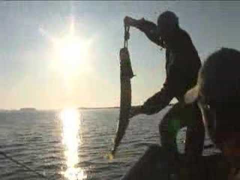 fishing.... rapala