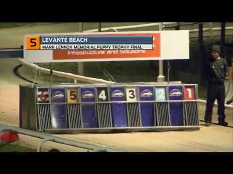 2019 NEWCASTLE PUPPY TROPHY FINAL - T5 LEVANTE BEACH