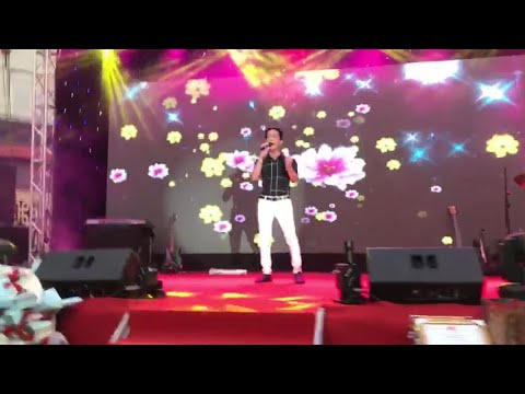 CHUYỆN TÌNH HOA MAI