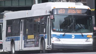 MTA Bus | Buses In The East New York Area Of Brooklyn