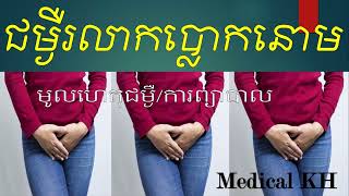 ជម្ងឺរលាកប្លោកនោម_Cystitis part 01