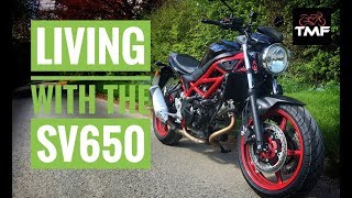 Living with the 2018 Suzuki SV650 - In Depth Review