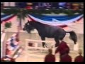 Cassander C Cassini I X Lord X Landgraf