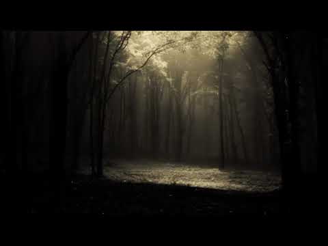 Light (Dark Ambient 10+ hours)