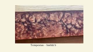 Tempestas – hnědá bouře