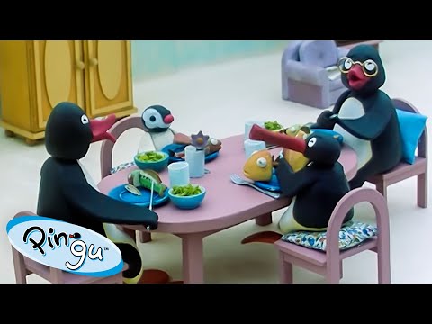 Pingu Spends Time with Friends & Family 🐧 | Pingu - Official Channel | Cartoons For Kids