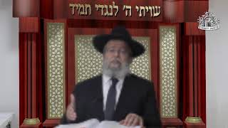 דף היומי בחצי שעה - עירובין דף ס"א