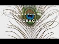 Jerry Ropero & Denis The Menace - Coraçao (Lost Capital & Kate Moon Remix)
