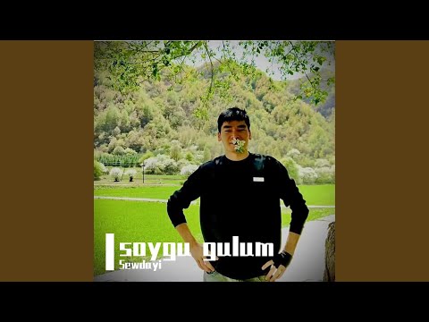 Soygu Gulum