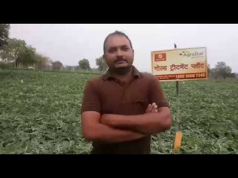 Maharashtra Farmer Shri. Ajay Garud's AgroStar experience Video