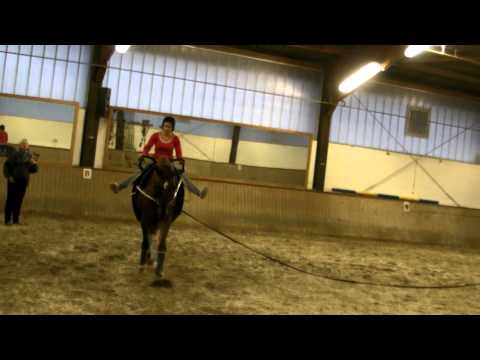 Turnen auf dem Pferd: Volontärin probiert das Voltigieren aus