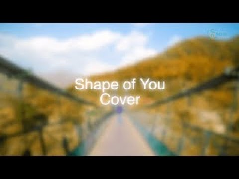 Ed Sheeran - Shape of You | Cover by Vritant Soni