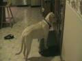 Ella S Thanksgiving