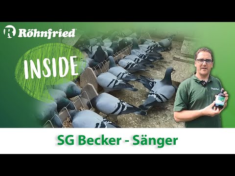 Röhnfried Inside - Zu Besuch bei der SG Becker - Sänger - Teil 1