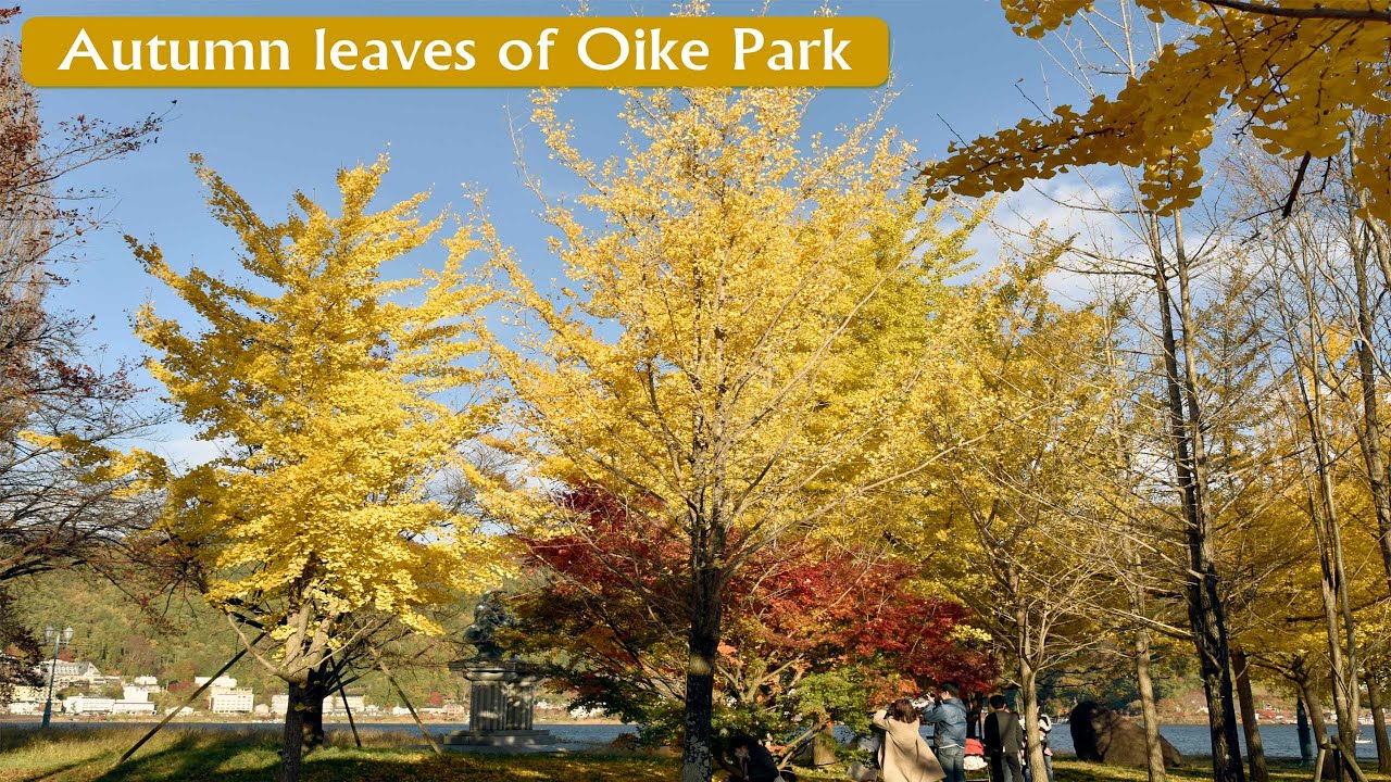 Catch a captivating glimpse of Oike Park.