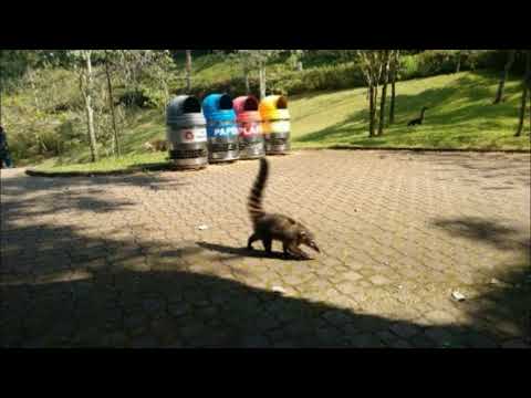 Ensinamento de MEISHU-SAMA: Makoto