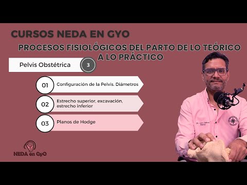 3. Pelvis Obstétrica. Curso: Procesos fisiológicos del parto. De lo teórico a lo práctico.