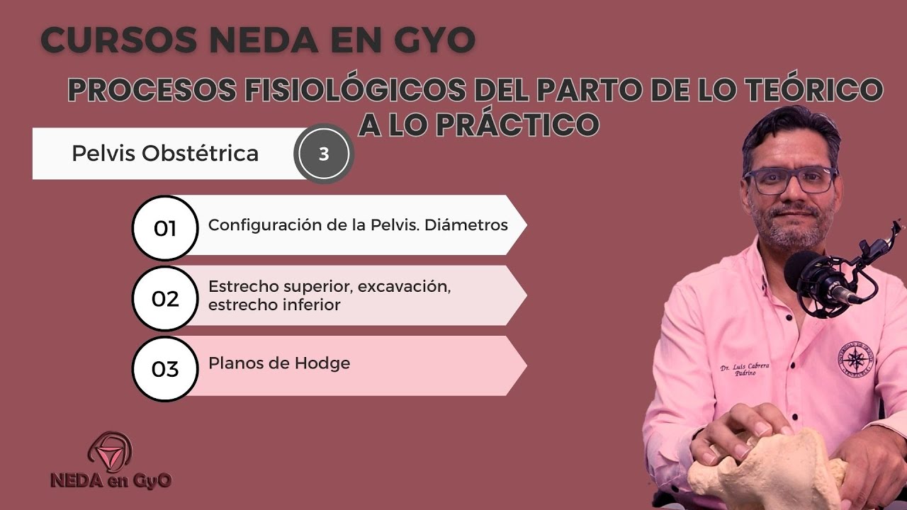 3. Pelvis Obstétrica. Curso: Procesos fisiológicos del parto. De lo teórico a lo práctico.