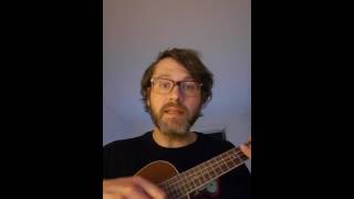 Tocotronic - Digital ist besser Ukulele Cover