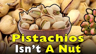 Pistachios: Not a Nut, Not a Fruit… So What Are They?