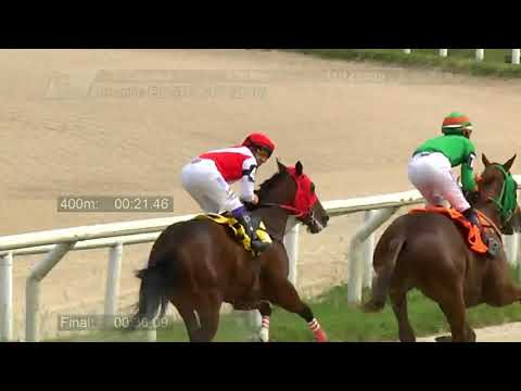 201211 c02 - ESKEEN - HIPODROMO LAS PIEDRAS