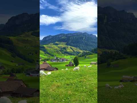 📍 Schwende, Switzerland 🇨🇭Follow us for daily Swiss Content 🇨🇭