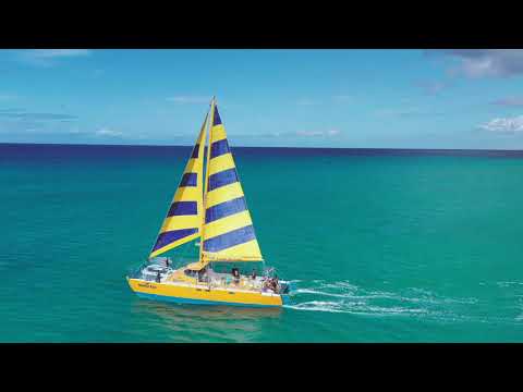 Hawaii in 8k HDR ULTRA HD | Hawaii Beach | Water Surfing | हवाई समुद्र तट