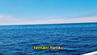 Download lagu Mangu-cover Ariel noah mp3