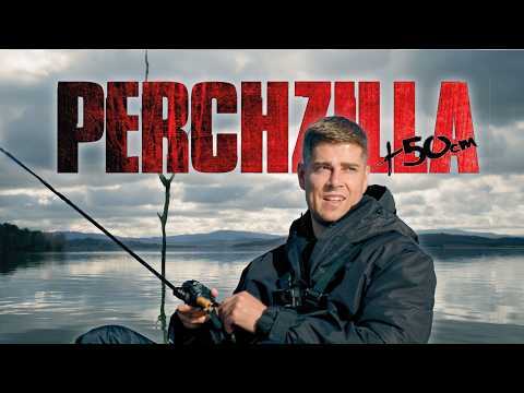 Nobody saw this coming: ANGLER catches biggest perch of their life!