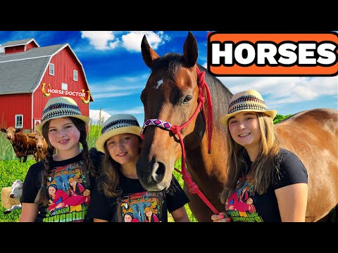 Taking Our Horse to the VET! (Horse Videos for Kids)