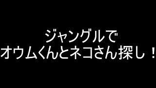 Seroのマインクラフト実況プレイPART253　ジャングルでオウムくんとネコさん探し！