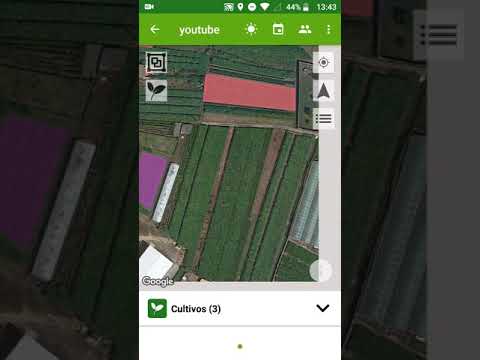 oSIGris | Cuaderno de campo