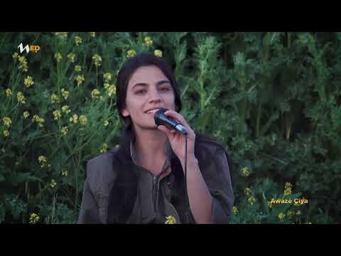 Awazê Çiya - Bihêre Destar |Nû | New Music Video 2021|