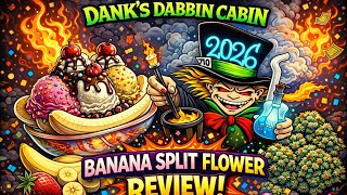 Banna Split - flower review