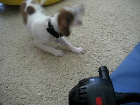 Our crazy lit'l Makai