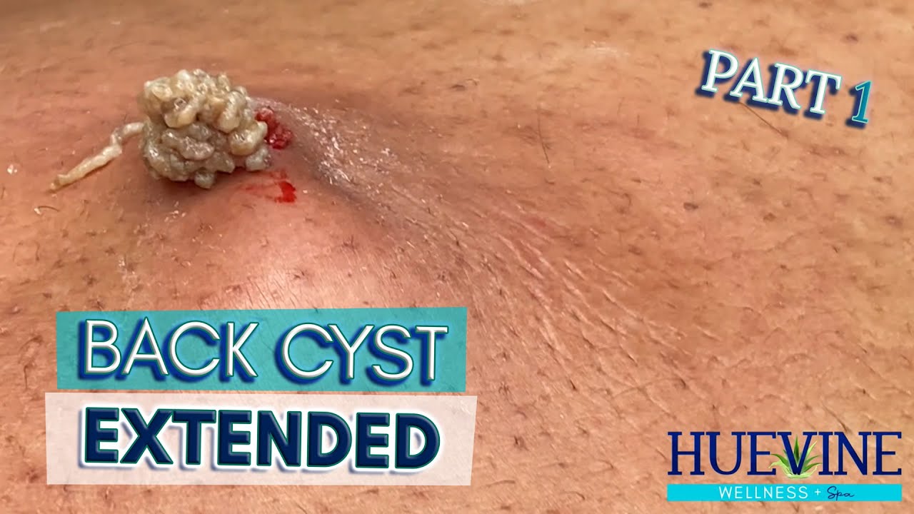 YouTube Thumbnail Downloader FULL HQ IMAGE