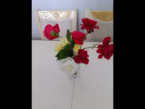 Ramil Nabran ft CAHAN Qrupu - Geceler 2023