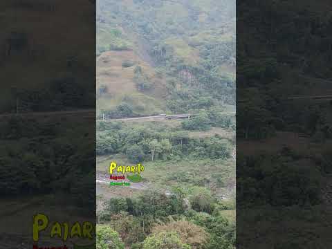 Vista desde la vereda de Monserrate en Pajarito Boyacá (Marzo 29/2026)