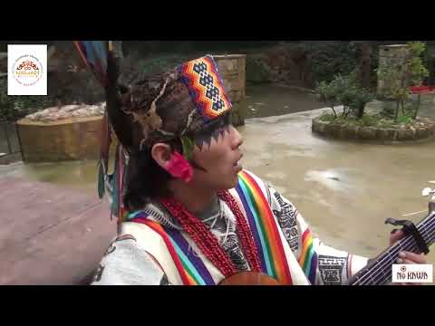 Txana Bukun Mapua Huni kuin-  Nixipae Nikawa- Bari icaros.