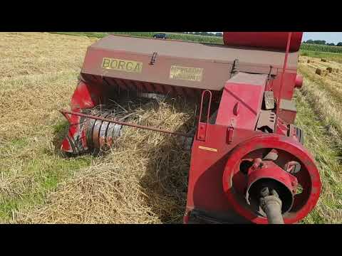 Stropersen met een Borga en Mc cormick D439