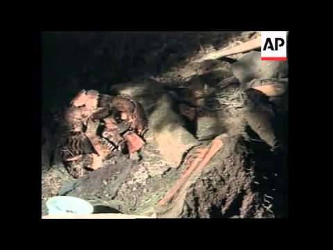 GUATEMALA: MASS GRAVES MAY BE EVIDENCE OF GUERRILLA MASSACRES