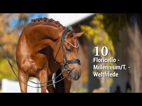 5. Mecklenburger Körtage ONLINE AUKTION Nr.10  Floricello - Millennium/T.  - Weltfriede