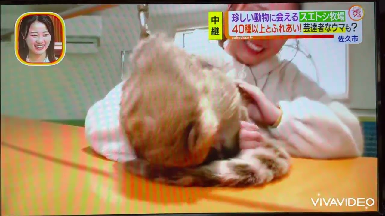 生放送でまたまたやらかしてしまった