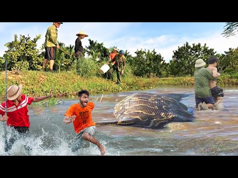 Horrified to discover giant monster python attacking people in the swamp. - anaconda. Let's clean up