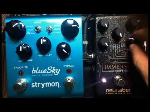 Spring Reverb - Strymon Bluesky & Neunaber Inmerse