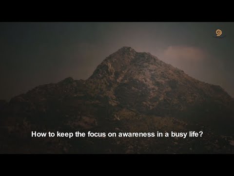 24. BHAGWAN RAMANA SATSANG - HOW TO KEEP THE FOCUS ON AWARENESS IN A BUSY LIFE?