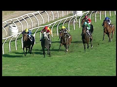 Napoli Galoppo 14/12/2021 - 1ª corsa