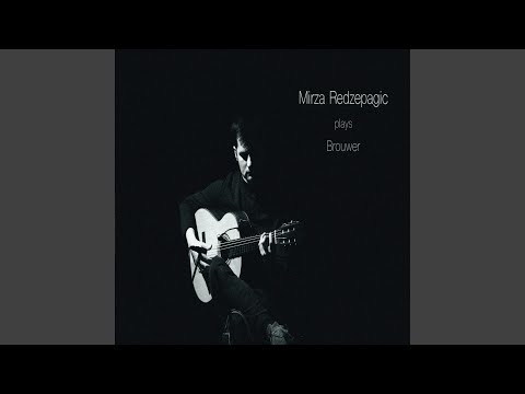 Nuevos Estudios Sencillos V.