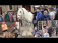Most Beautiful Horse At Appleby Horse Fair Riders On Carriage Cart