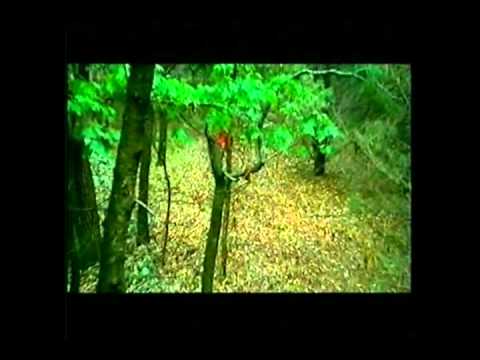 The Contino Rooms -  Inside The Brains Of Death In Vegas [part 1 of 2]